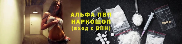 индика Наволоки