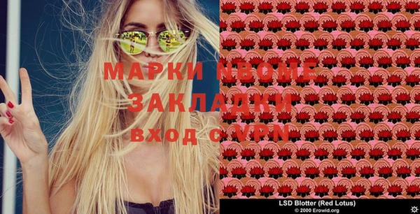молекула духа Михайловка