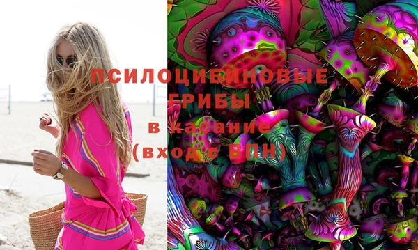 молекула духа Михайловка